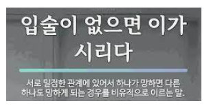순망치한 입술이 없으면 이가 시리다
