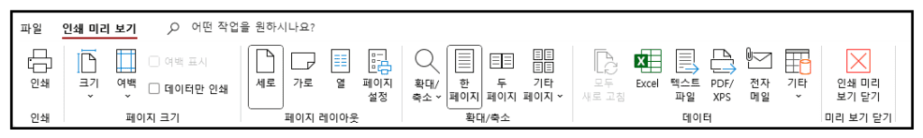 출력폼 사용 인쇄 옵션
